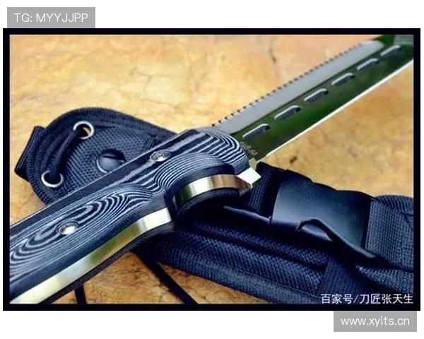 努涅斯技术粗糙争议 终结效率与战术适配性分析